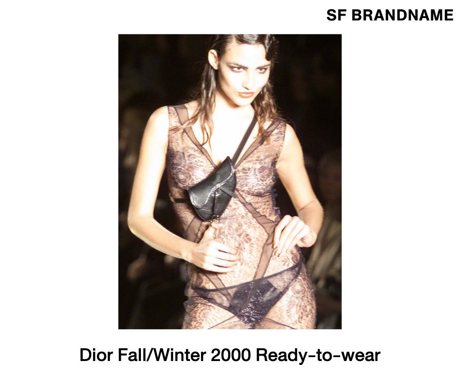 All about Dior Saddle Bag การกลับมาของกระเป๋าทรงอานม้าสุดฮิต (2)