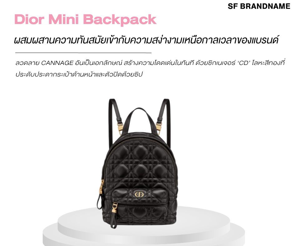 Dior Mini Backpack