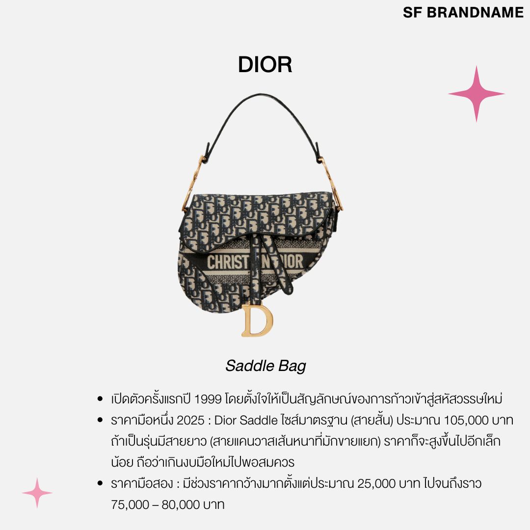 Dior Saddle Bag​
