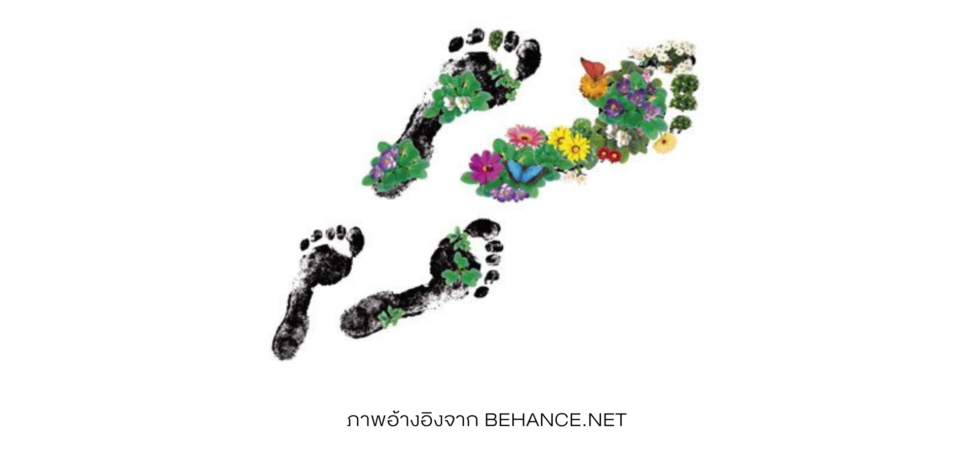 carbon footprint-แบรนด์เนมมือสอง มือ 2 sf brandname ของแท้-behance.net