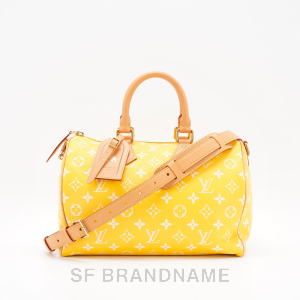 Louis Vuitton Speedy Ban P9