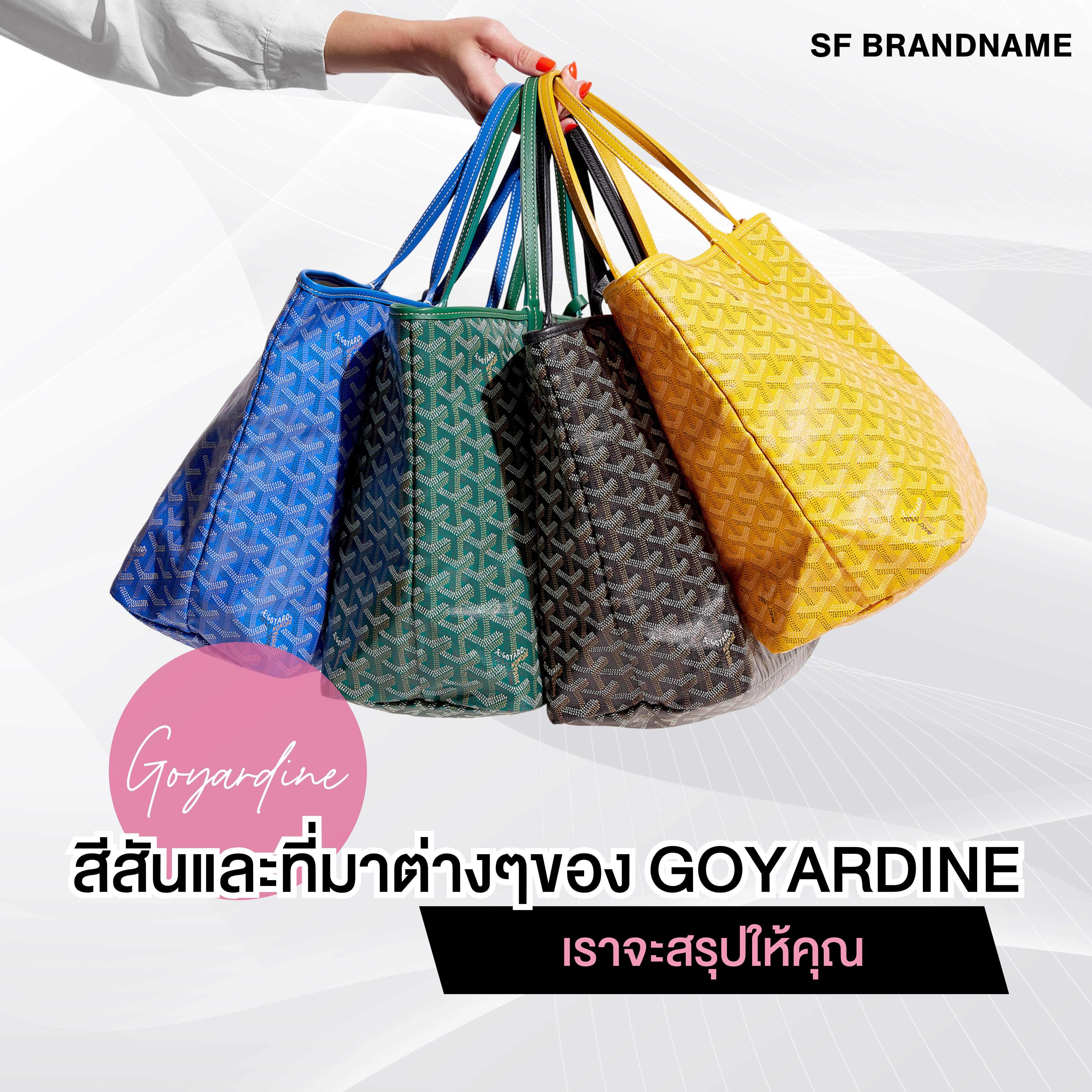 สีสันและที่มาต่างๆของ Goyardine เราจะสรุปให้คุณ