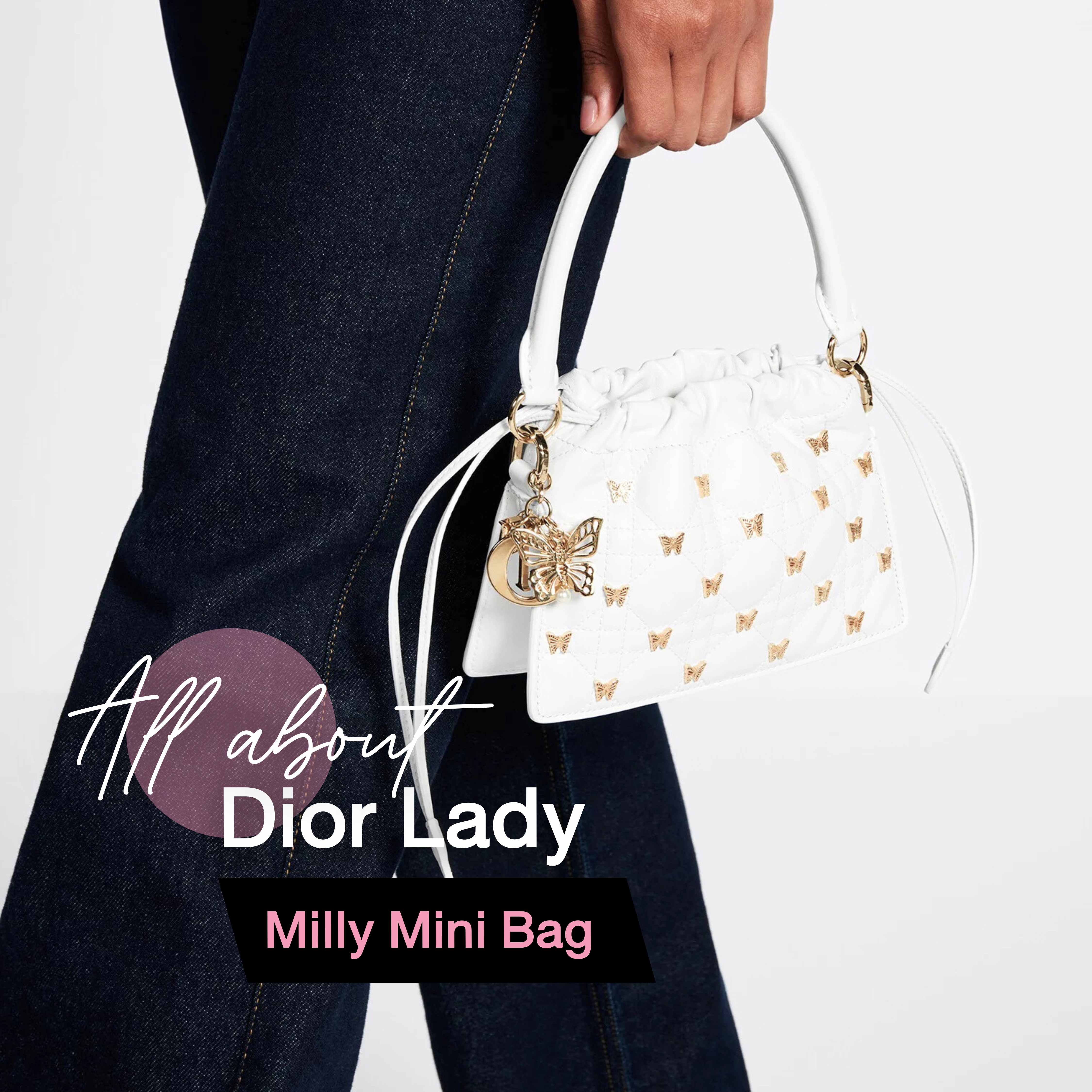 ทำความรู้จักน้องใหม่ Lady Dior Milly Mini Bag
